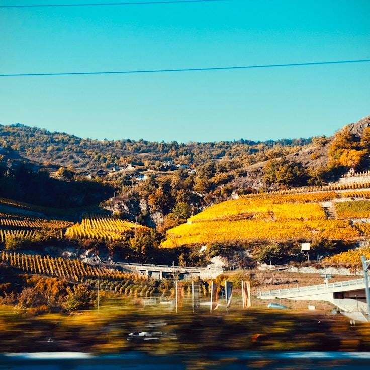 Kids playground area in Switzerland